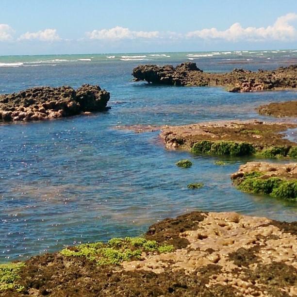 Hotel Caboco Sonhado Passeios Nauticos E Pousada Mundaú Zewnętrze zdjęcie